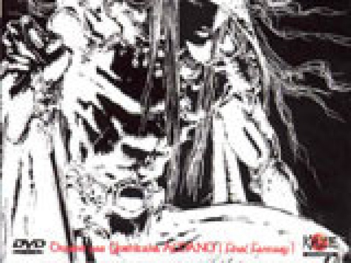 Vampire Hunter D - le film