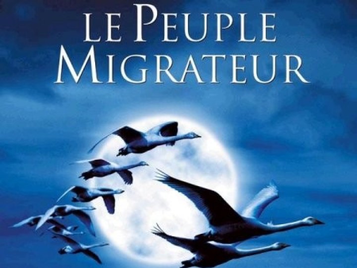 peuple migrateur (Le)