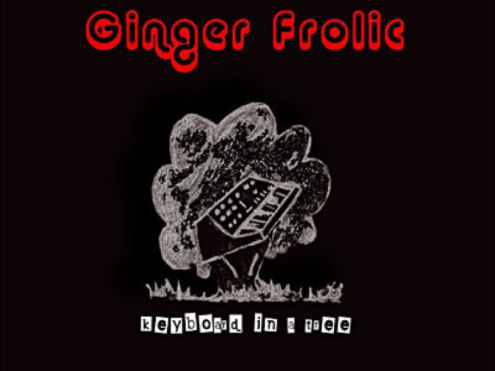 Ginger Frolic - Interview - 5 Décembre 2007