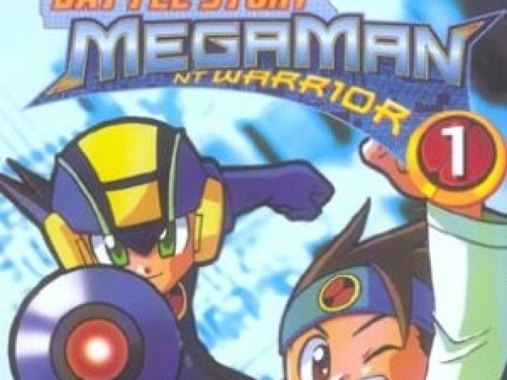 Megaman Net Warrior