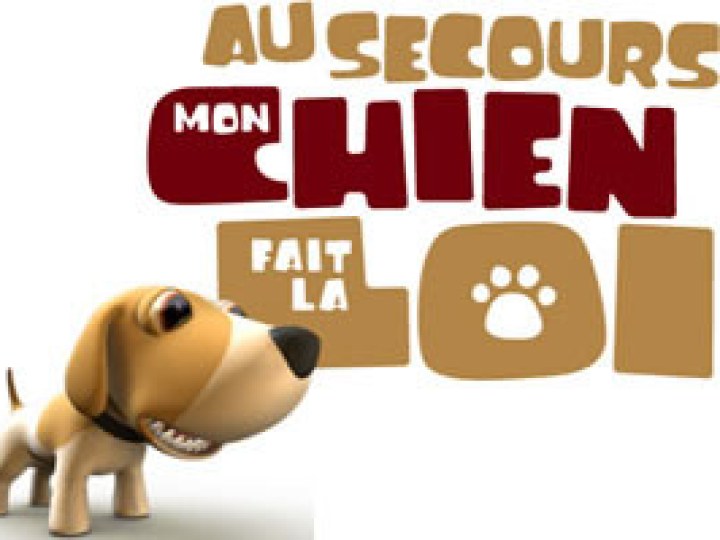 Au secours, mon chien fait la loi !