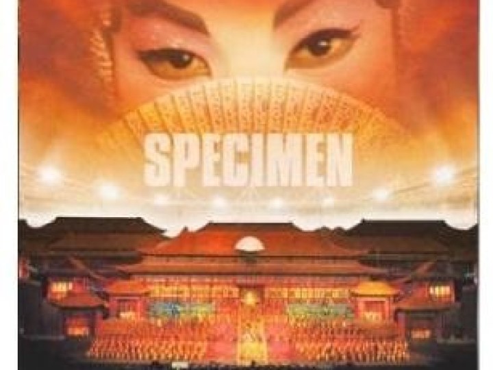 Turandot, princesse de légende - Spectacle au Stade de France