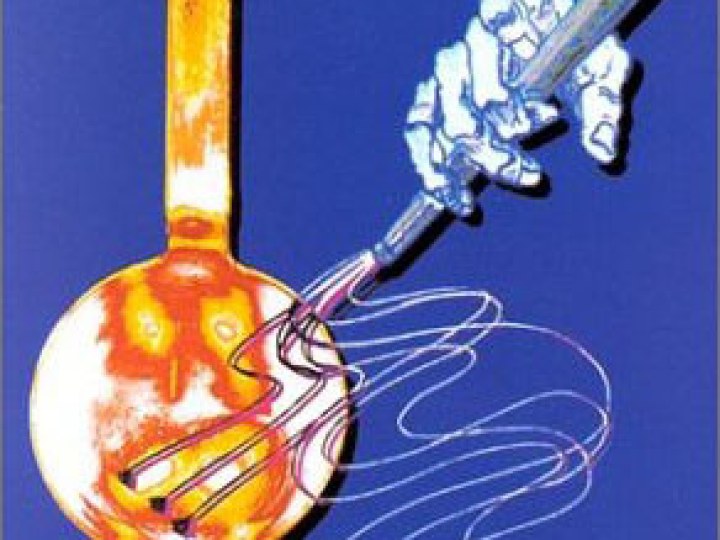 Etoile et le fouet (L')