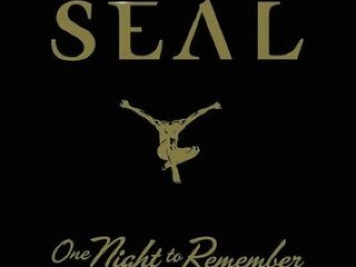 Seal - One night to remember