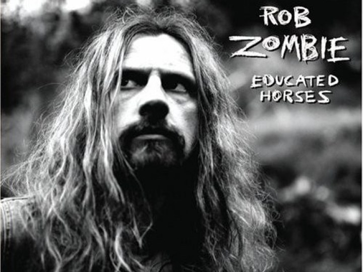 Zombie (Rob) - Educated Horses
