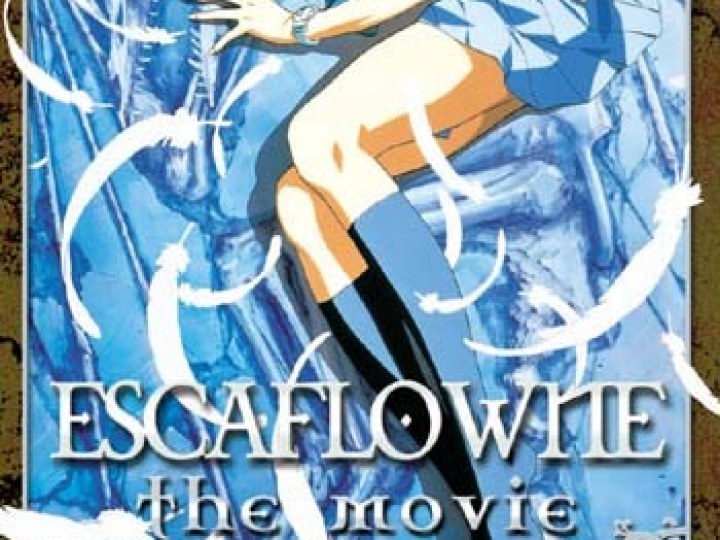 Vision d'Escaflowne - le film