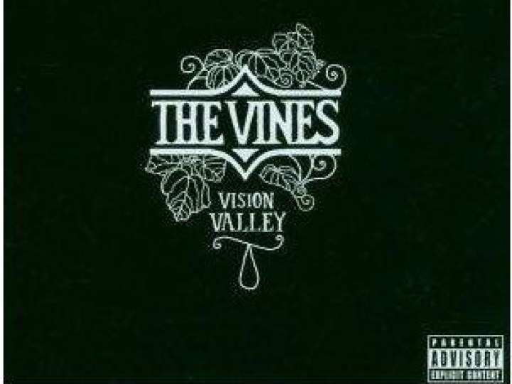 Vines (The) - Vision Valley
