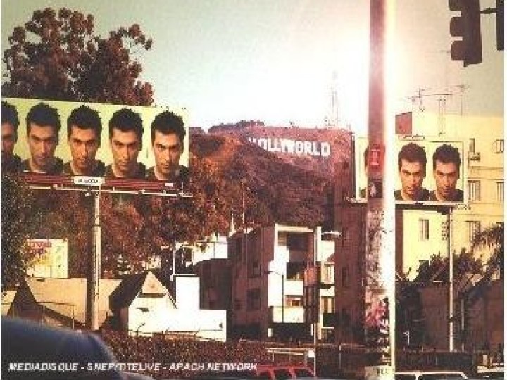Wolf (Laurent) - Hollyworld