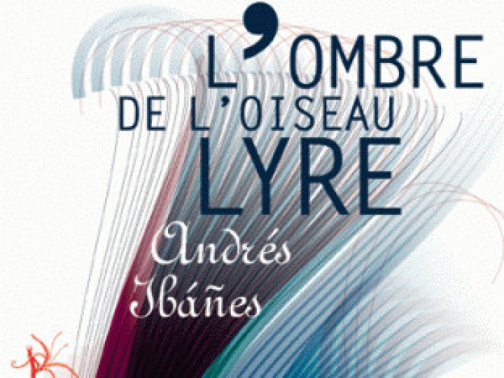 Ombre de l'oiseau-lyre (L')