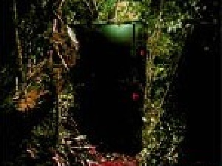 TreeMouth - Discobox