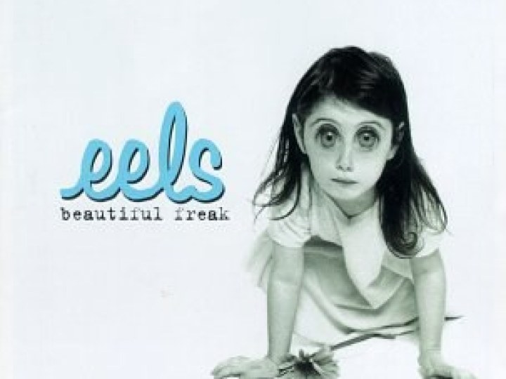 Eels - Beautiful Freak