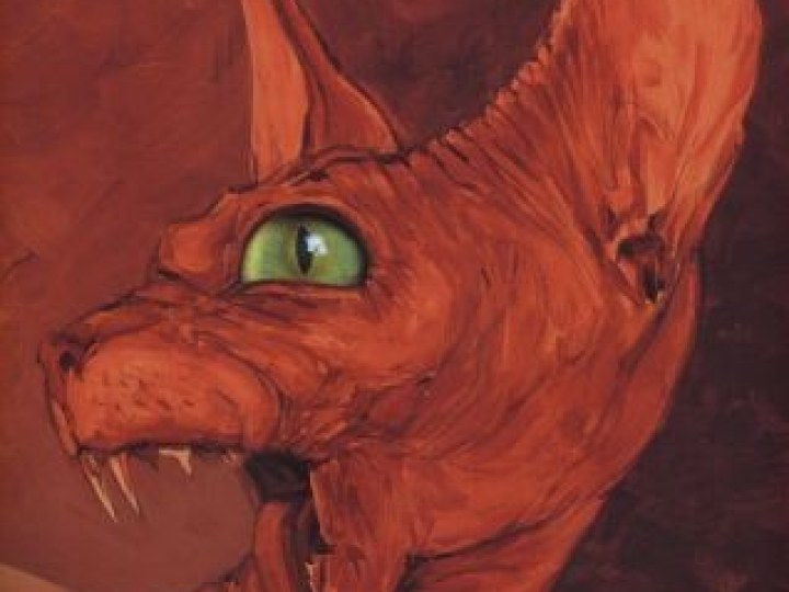 Mal (Le) - Tome 1 - L'oeil du mur