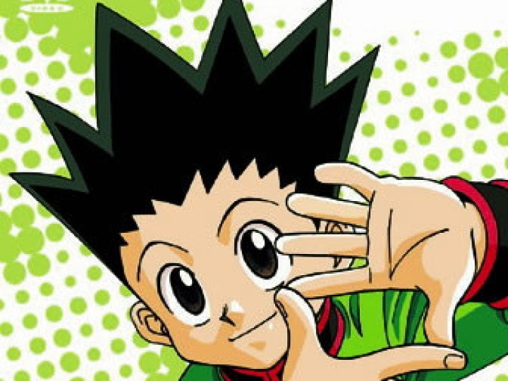 Hunter X Hunter - la série