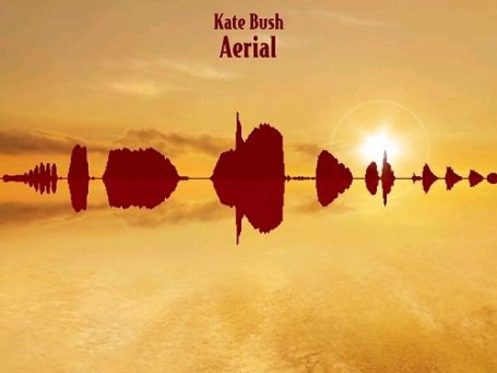 Bush (Kate) - Aerial