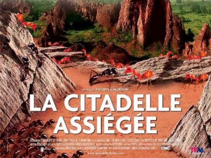 citadelle assiégée (La)
