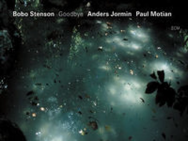 Bobo Stenson - Goodbye