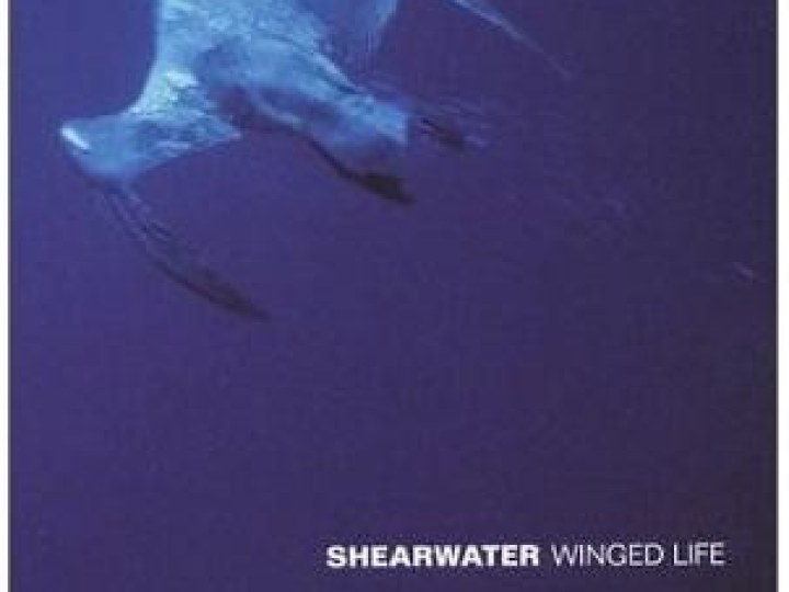 Shearwater - Concert à la Maroquinerie