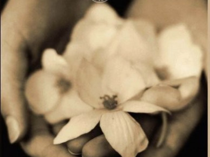 Auprès de moi toujours (Never let me go)