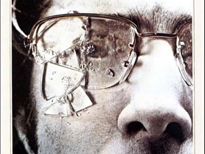 chiens de paille (Les) - Straw dogs