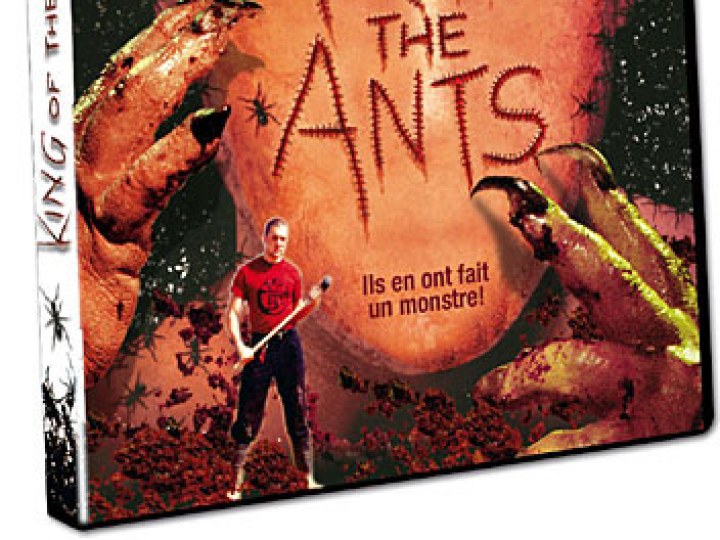 King of the ants