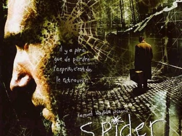 Spider