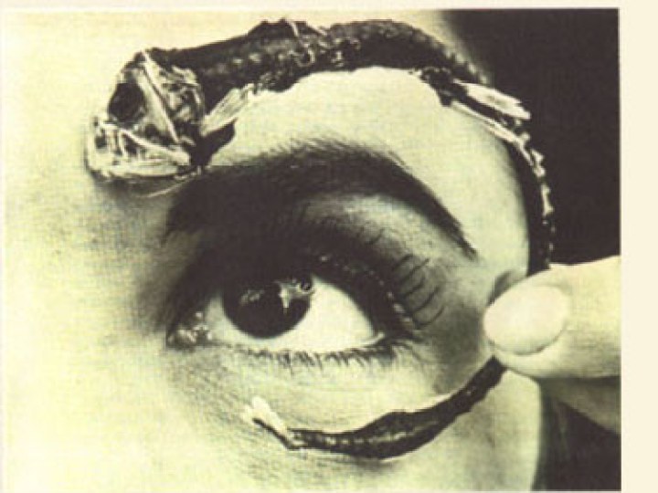 Mr. Bungle