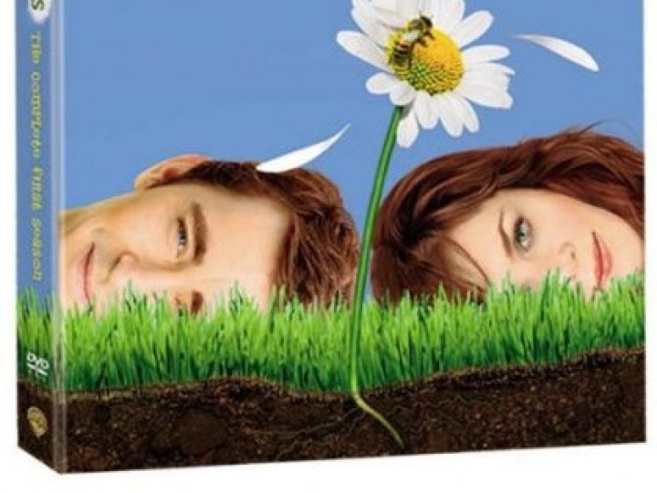 Pushing Daisies - Saison 1
