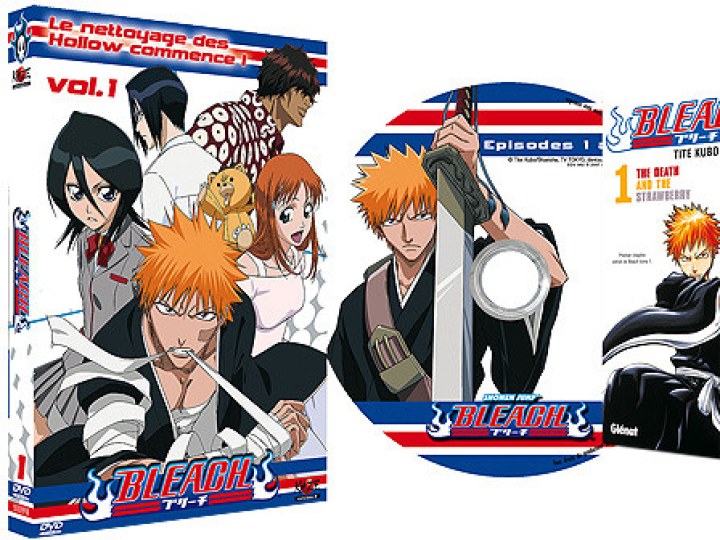 Bleach - la série