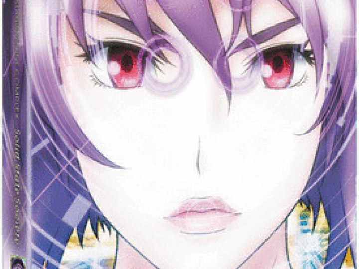 Ghost in the Shell - Stand Alone Complex : Solid State Society