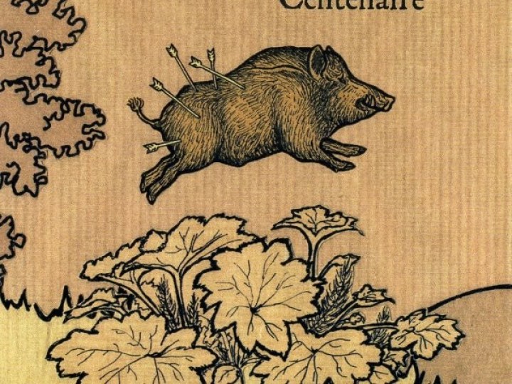 Centenaire - Centenaire