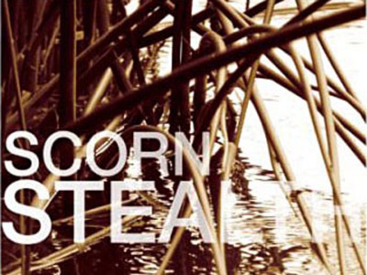 Scorn - Stealth