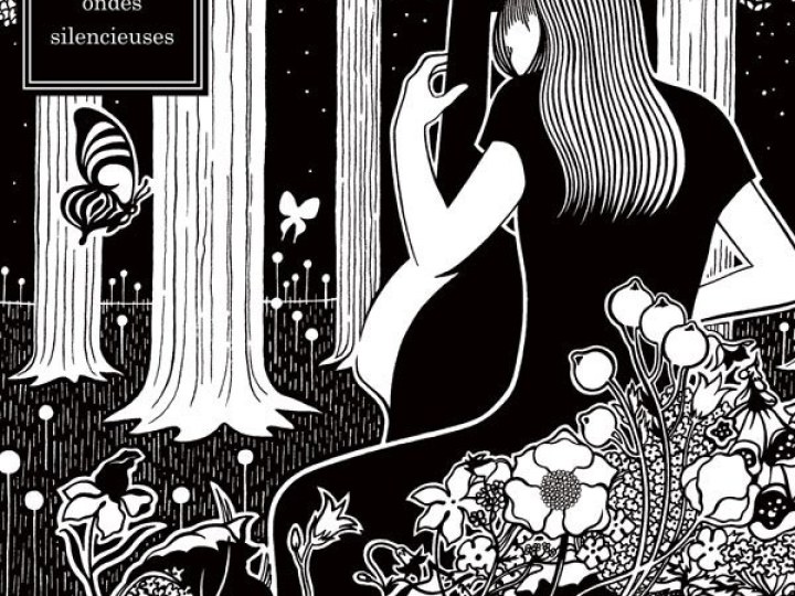 Colleen - Les Ondes silencieuses