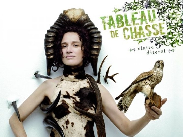 Claire Diterzi - Interview - 22 janvier 2008
