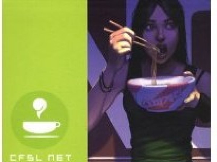 CFSL.NET