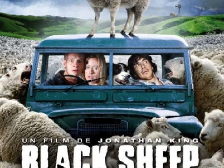Black sheep