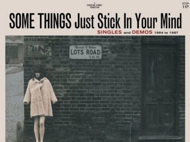 Vashti Bunyan - SOME THINGS Just Stick In Your Mind