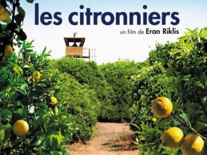 citronniers (Les)