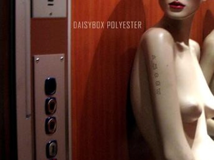 Daisybox - Interview du 25 mai 2008