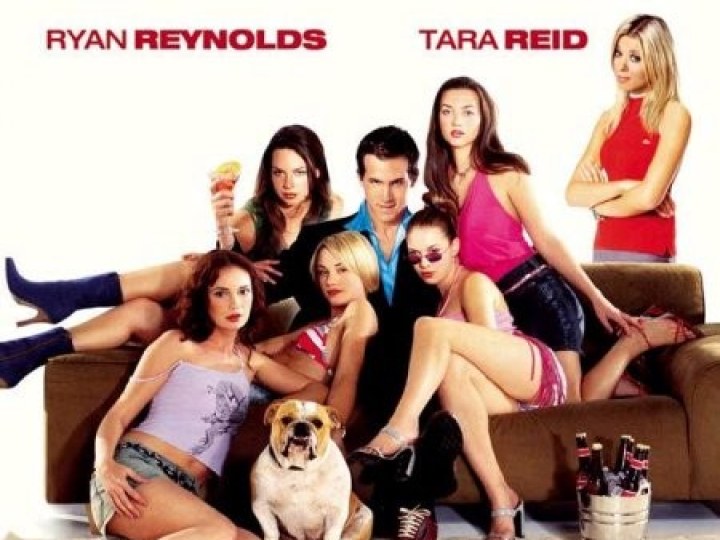 American Party - Van Wilder relations publiques