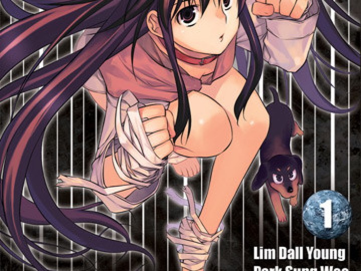 Kurokami T.17