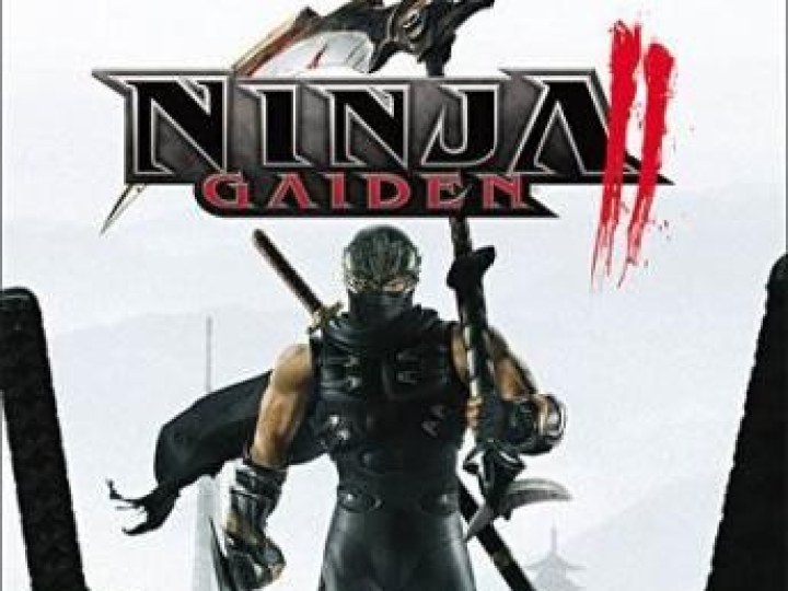 Ninja Gaiden II - Test